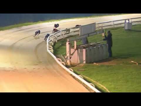 2017 RPGTV HENLOW DERBY - HEAT 6 - T2 SAVANA DONIE