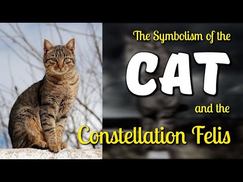 The Symbolism of the Cat and the Constellation Felis