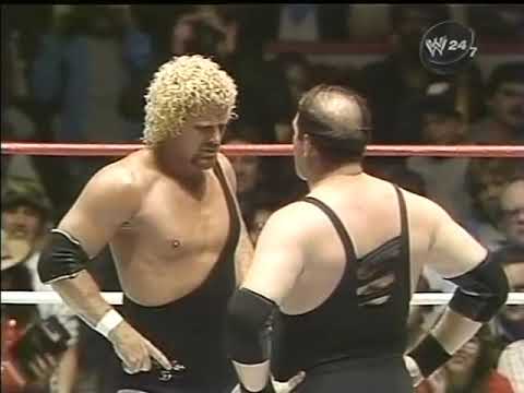 Sgt  Slaughter vs David Schultz