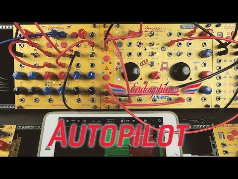 Endorphin.es Autopilot Eurorack Synth Module - Gold image 3