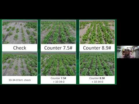 Sugarbeet Research Reporting Session - January 12, 2021 - Session 5