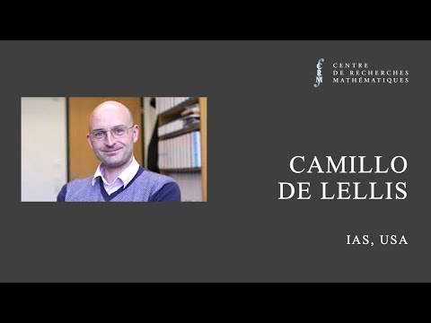 Locally dissipative solutions of the Euler equations