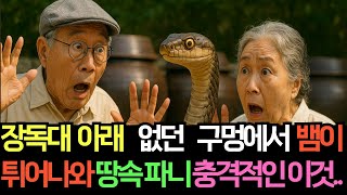 Download lagu A snake emerged from under a kimchi jar, and when I dug into the ground, I found this shocking find. mp3