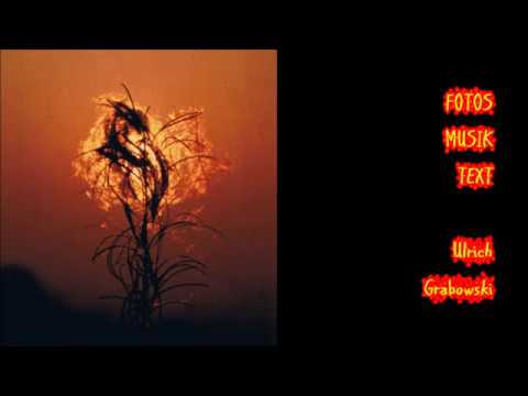 Die Frucht des Geistes ist Liebe