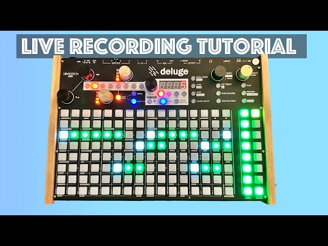 How to Use Live Recording - Deluge Tutorial