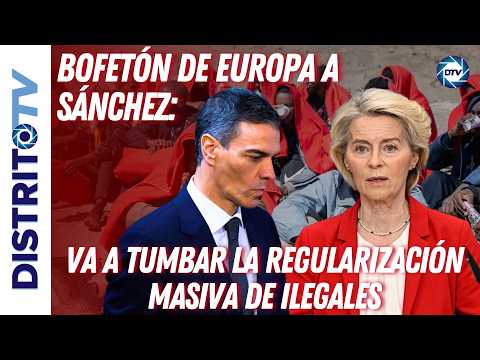 🔴BOFETÓN DE EUROPA A SÁNCHEZ: VA A TUMBAR LA REGULARIZACIÓN MASIVA DE ILEGALES🔴