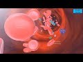 Blood coagulation | Blood clotting || coagulation | Process of blood clotting | 3D Video