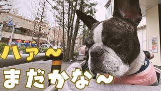 街ぶらしたらフレブルが落ち込んだw