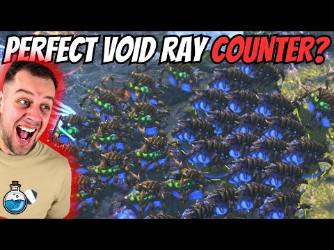 NO WAY Void Rays can beat this... right? | Void Ray Disruptor #14 StarCraft 2