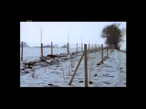 12. Handwerks-Tradition; Topographie Heckenlandschaften - Dieter Wieland, 1993