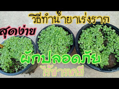 ซื้อในร้านขายยา Exciter สำหรับผู้หญิง อารมณ์ความรู้สึกของความแรง Sytina อ่าน