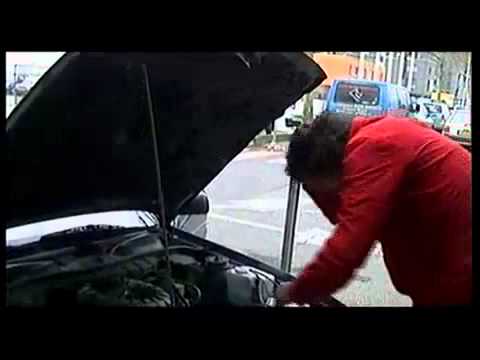 Autoshop De Tijger - De Wagen