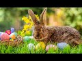 Easter Traditions. ESL/ESOL/EFL | English Portal