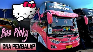 Download lagu Naik BUS PINKY Sudiro Tungga Jaya 'Bavikha' Mercy No Limit | Madiun - Tangerang Part 1 mp3