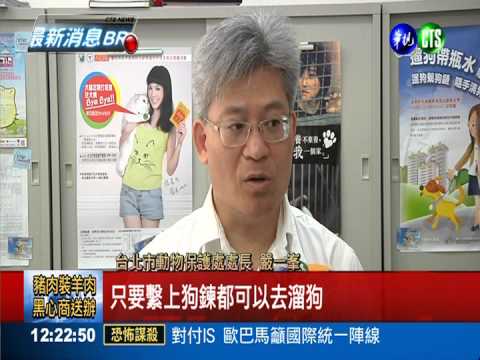 帶寵物出門沒"栓"緊 北市罰1萬