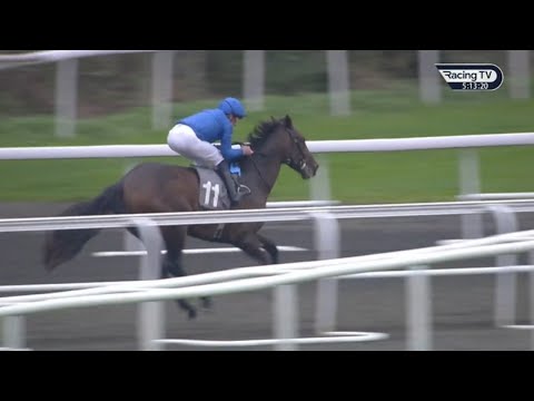 Wow! TALK OF NEW YORK sparkles on debut for Godolphin 🚀