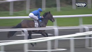 Wow! TALK OF NEW YORK sparkles on debut for Godolphin 🚀