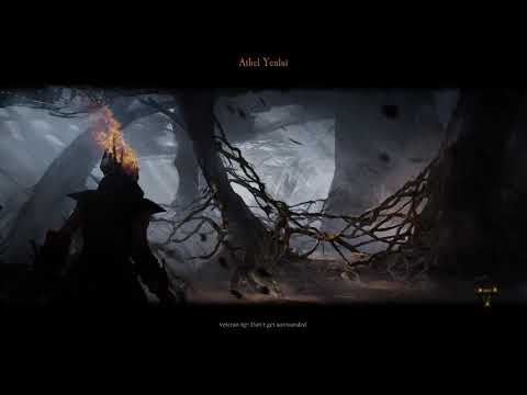 Vermintide 2 Athel Yenlui Cataclysm Handmaiden