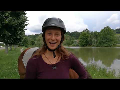 MUSTANG MAKEOVER 2018 Team Tanja (TAG 3910) - Update 5