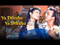 Ya Dilruba Ya Dilruba Aatish 1994 Sanjay Dutt Raveena Tandon Karisma Kapoor Hindi Song