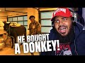 THEY TURNT YB BACK UP NBA YoungBoy Act A Donkey Official Video CHARLAMAGNE DISS REACTION