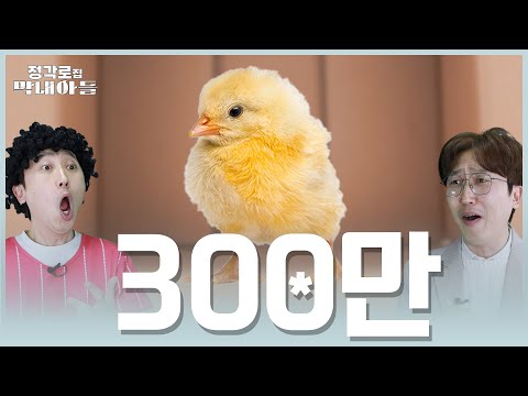 [정각로집 막내아들] 병아리 300만 마리 파는 방법?