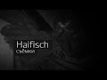 Как снимали клип Rammstein - Haifisch (Full HD на русском ...