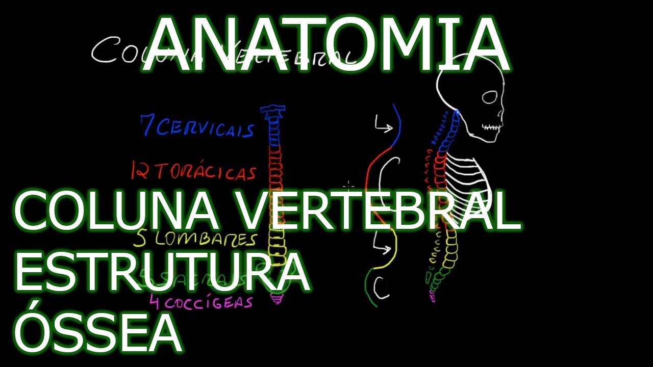 Aula: Anatomia - Coluna Vertebral - Estrutura Óssea | Anatomia Humana Osteomuscular