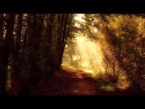 The Lament For Aughrim played on Burke  high D Whistle 🌹☘🥀 Dedicated to Jim Aman 💞