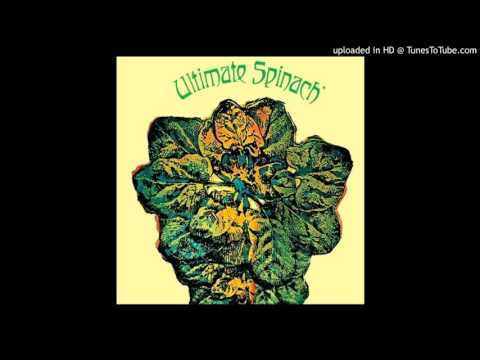 Ultimate Spinach- Plastic Raincoat-Hung Up Minds
