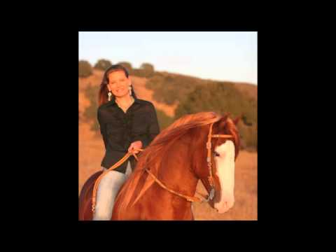 RB Horses  - Stallions at Stud