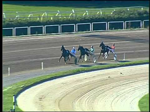 Trotto 08/11/2015 - 1° prova di qualifica