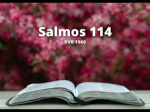 Psalm 114 - Reina Valera 1960 (Audio Bible)