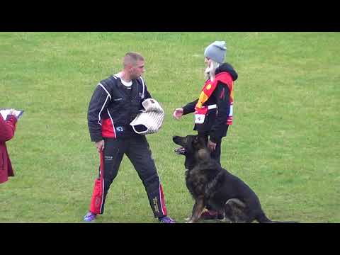 WUSV 2021  CZE 2 - JANA HOŘEJŠÍ & RED BULL ZE STŘÍBRNÉHO KAMENE C 87