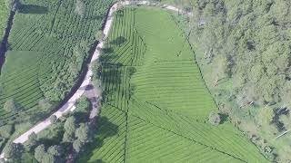Download lagu GRATIS FOOTAGE Video Drone Pemandangan Kebun Teh Bandung [ No Copyright ] mp3
