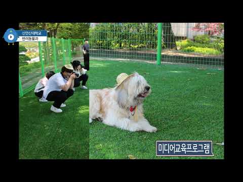 기본썸네일이미지