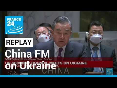 REPLAY - China says territorial integrity of Ukraine must be respected • FRANCE 24 English