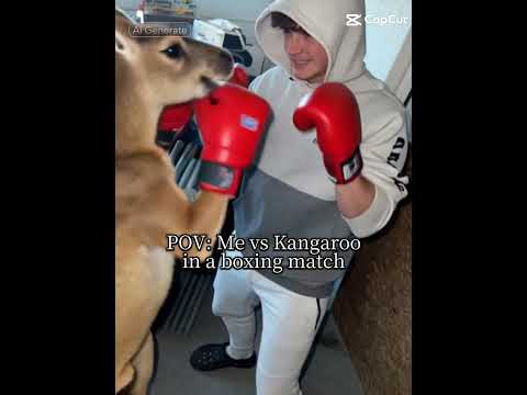 me vs kangaroo