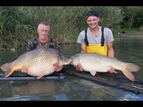 28 kilós ponty Palotásról – részletek a leírásban!