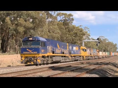 Colourful Quad "NR class" combination on long freight train -  PoathTV Australian Railways