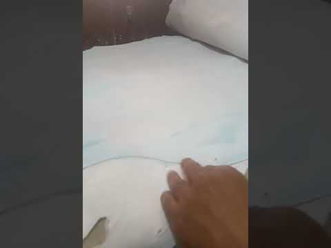 Sheep full chrome white crust