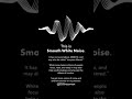 ⚪ This is Smooth White Noise. [Original]