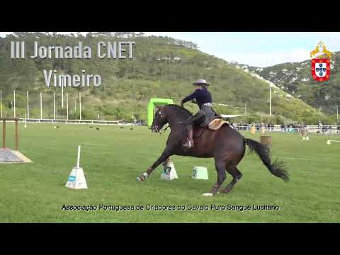 III CNET e Internacional - Vimeiro