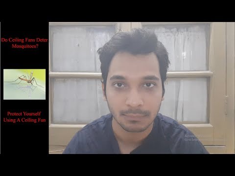YouTube video about: Will a ceiling fan keep mosquitoes away?