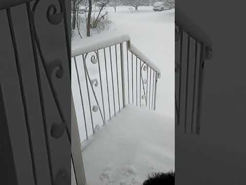 brutal winter in NJ