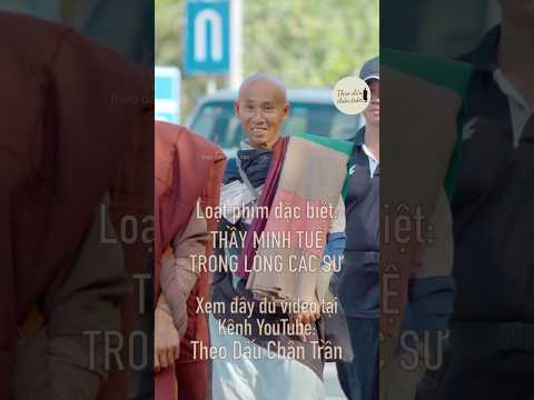 Loạt Phim Đặc Biệt: Thầy Minh Tuệ Trong Lòng Các Sư