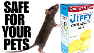 KILL EVERY RAT In And Around Your House | PET SAFE