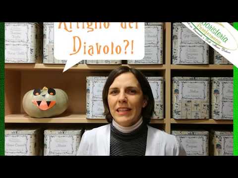 Ginnastica Dikulja ernia del rachide cervicale Scoliosi lati nella regione toracica inferiore