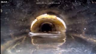 Beytagh Sewer to City Main   Unit C