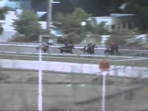 Barrier Trial 10th june 2014 at 6:00am - KrymlinCaptain, ToreroDancer, JudgeTheStride, Wonderlaine